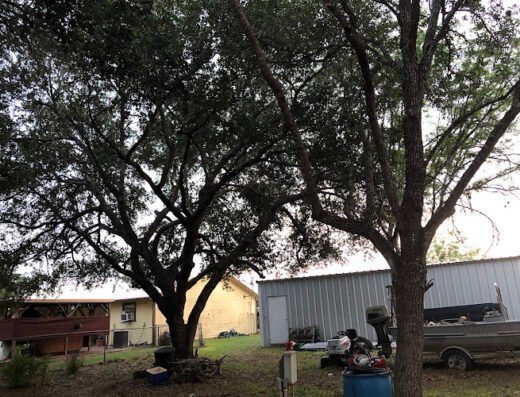 R&G Tree Service – lawn care in Corpus Christi