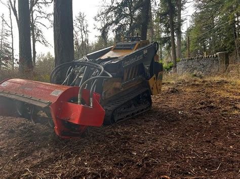 Urban Arbor Care, LLC | Tree Removal & Arborists