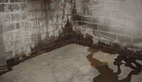 Summit Basement Company