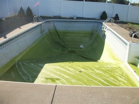 Pool Surgeons Inc