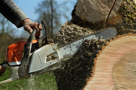 Flank's Tree Services