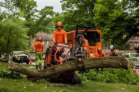 Parshall Tree Care Experts