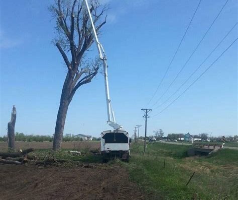 Jacobsen Tree Experts