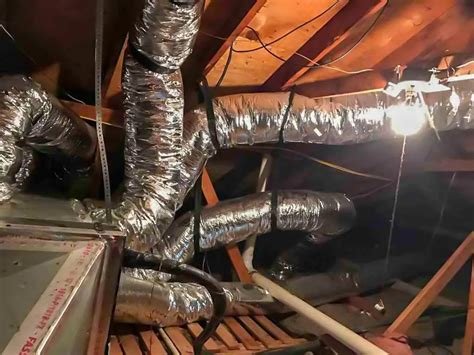 Attic Professional