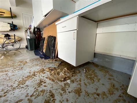 Water Damage & Mold by Drypro