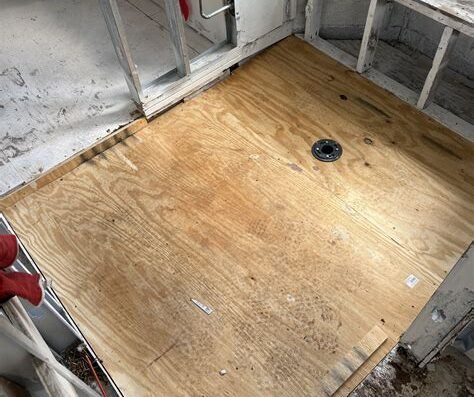 The Phoenix Restoration - Mold Remediation