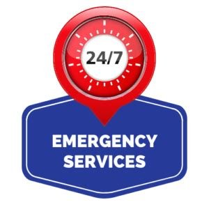 Disaster Recovery Pros