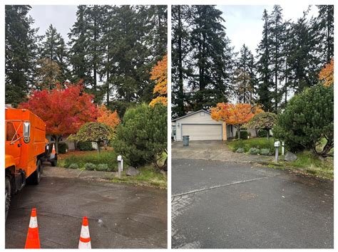 Emerald Valley Tree Service LLC