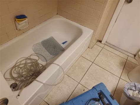 Mold & Duct Cleaning Experts
