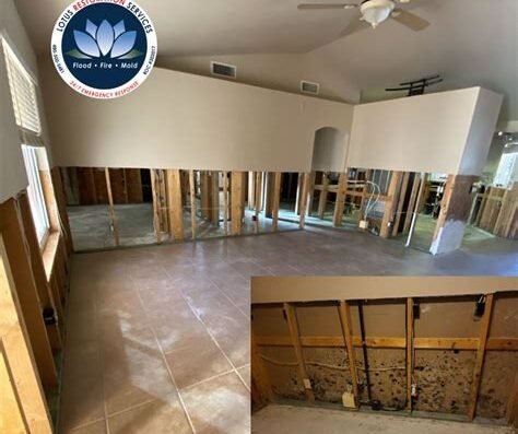 Lotus Restoration Services