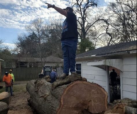 Bailey's Lawn and Tree Service – lawn care in Tyler, TX