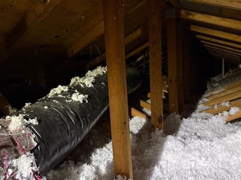 Green Service Insulation Hollywood