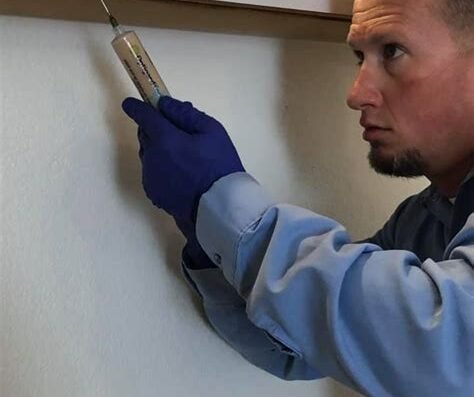 Dr. Death Pest Control – pest control in Henderson, NV