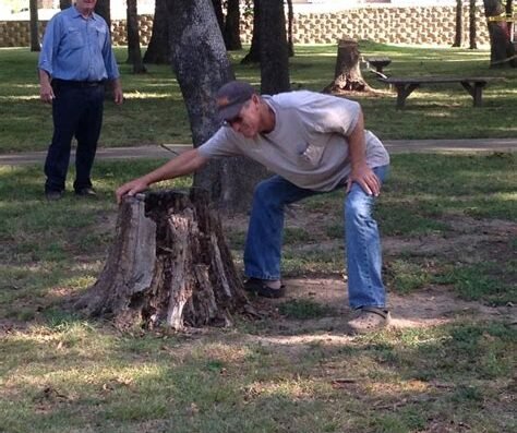 Killian's Tree Service Inc. – tree service in Fort Smith, AR