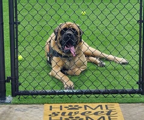 Bowz and Bones Pet Resort – pet care in Fort Smith, AR