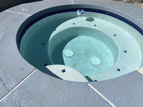 Pink Dolphin Pool Care