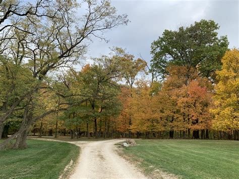 Paulo & Sons Tree Services Inc – tree service in Aurora, IL
