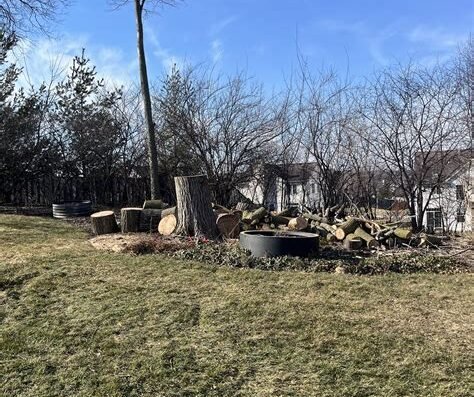 Ducks Tree And Stump Service – tree service in Aurora, IL