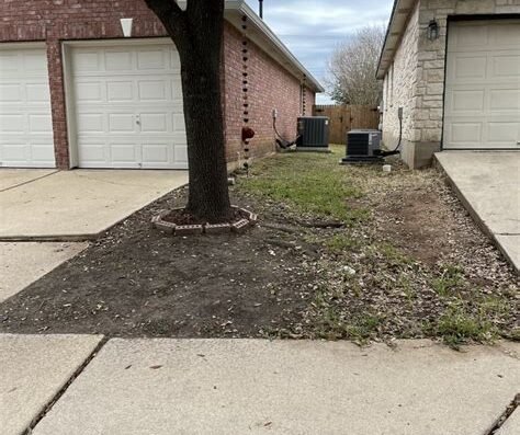 Better Price Tree Service