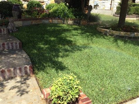 Living Proof Sprinkler Company