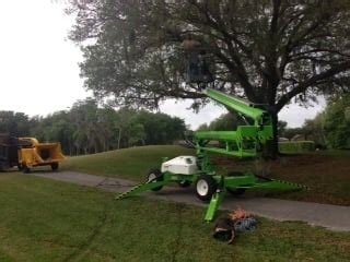 Triangle Tree Service & Landscaping