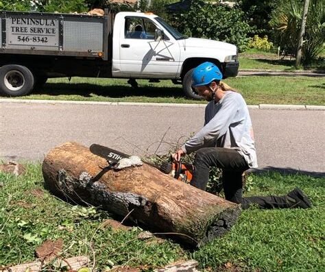 Peninsula Tree Service