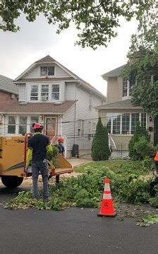 Remedy Tree Removal Service