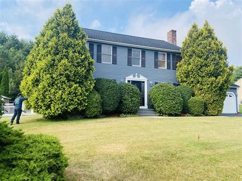 Velasquez Tree Service