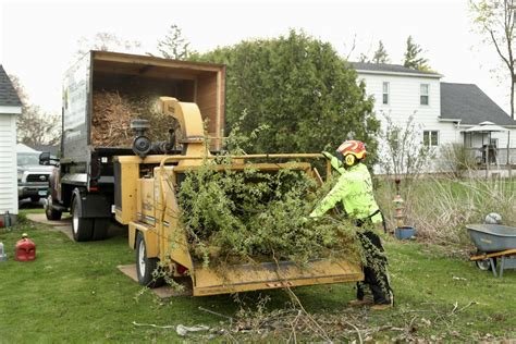 M&G Tree Services