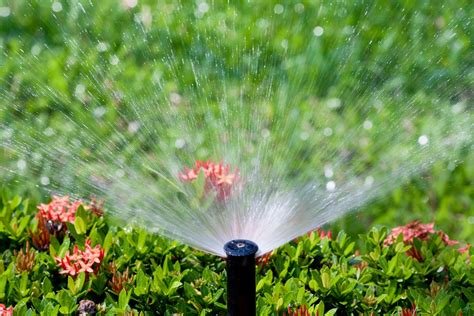 Gilbert Sprinkler Repair