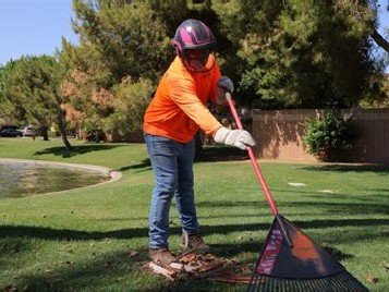 Tree Doctors Inc crew member raking tree debris at job site, Gilbert AZ