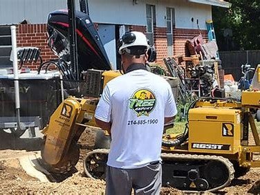 Tree Expert LLC crew member with stump grinding equipment, Arlington TX
