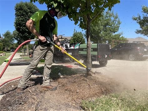 Crew mulching around a newly planted tree with branded service truck, Treehugger Tree Service